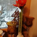 Apartament Naturparadies Marktl