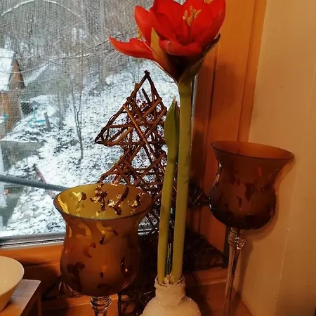 Apartmán Naturparadies Marktl