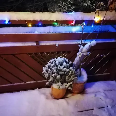 Naturparadies Lejlighed