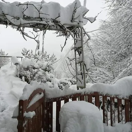 Naturparadies Lejlighed