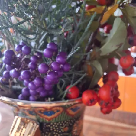 Naturparadies Lejlighed Marktl