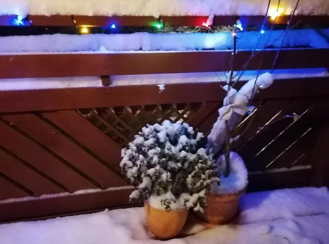 Naturparadies Apartamento