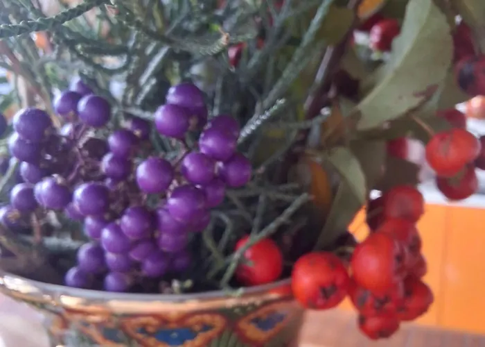 Naturparadies Apartamento Marktl